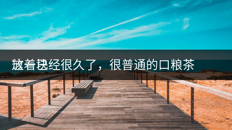 這一塊
放著已經(jīng)很久了，很普通的口糧茶，煙味很重，但回甘也可以，隨意喝喝吧。