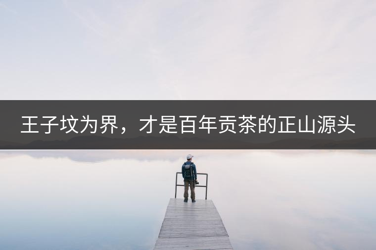 王子墳為界，才是百年貢茶的正山源頭