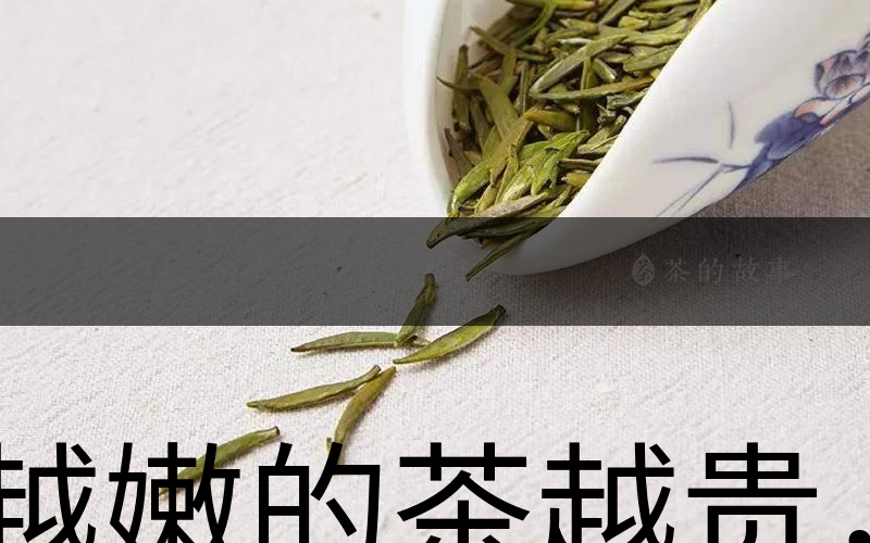 越嫩的茶越貴，但越貴的茶就越好嗎？-1