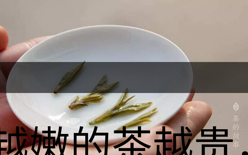 越嫩的茶越貴，但越貴的茶就越好嗎？-3