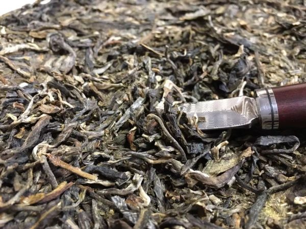 怎么樣泡好落水洞普洱茶？