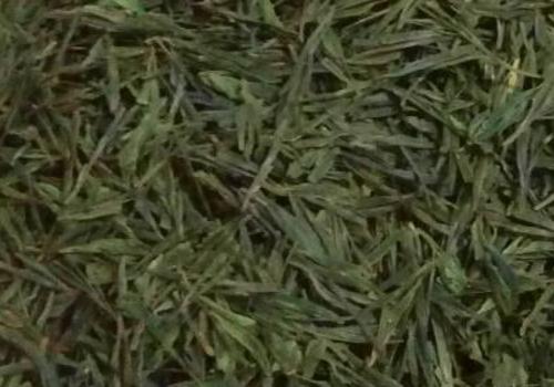 什么是海青茶？沖泡手法詳細(xì)教學(xué)！