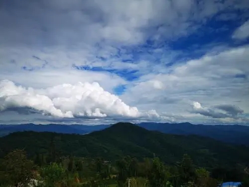 2021年那罕古樹(shù)秋茶口感？