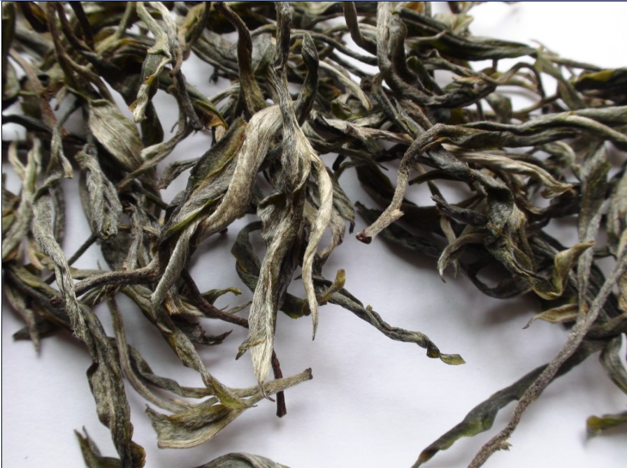 2021年馬鞍山古樹秋茶價(jià)格？