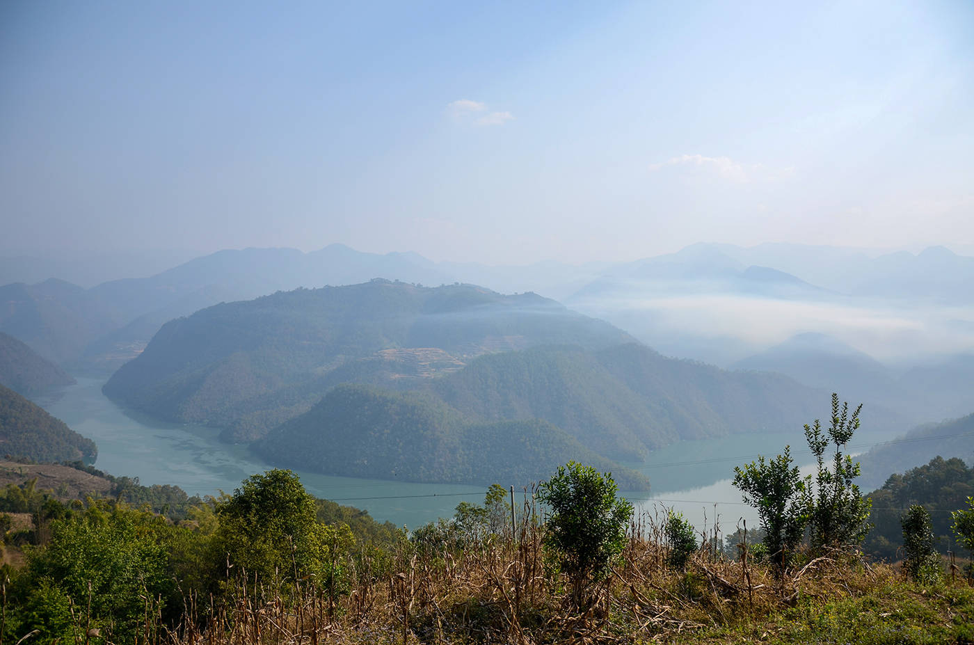 2021年白鶯山古樹秋茶，佛茶有什么魅力？