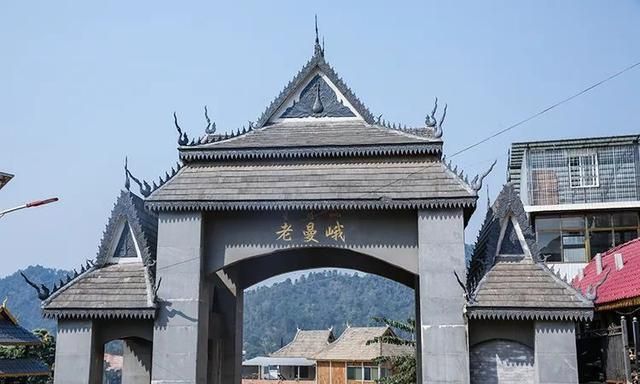 2021年老曼峨古樹秋茶特點(diǎn)？