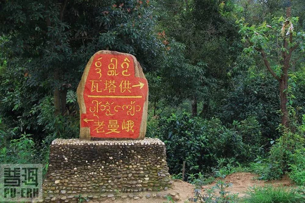 2021年老曼峨古樹(shù)秋茶價(jià)格多少？