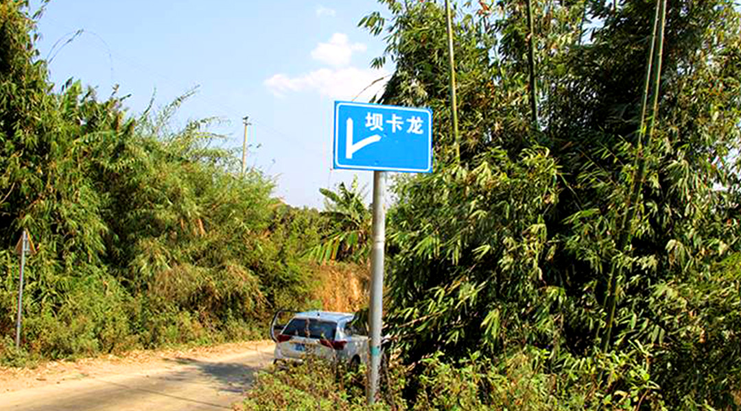 2021班章茶區(qū)壩卡竜古樹秋茶特點(diǎn)！