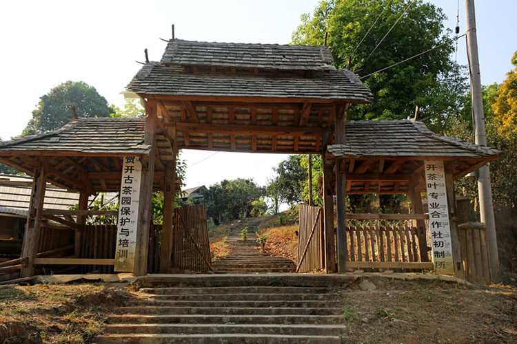 2021年賀開古樹秋茶特點？