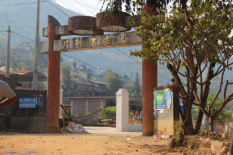 2021年廣別老寨古樹秋茶口感？