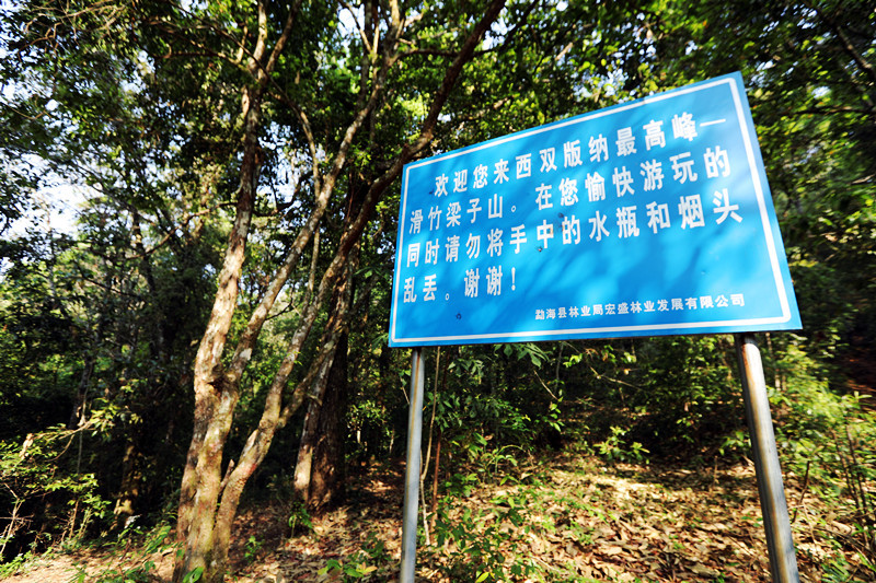 2021年滑竹梁子古樹秋茶價格？