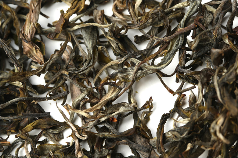 2021年巴達山章朗古樹秋茶特點？