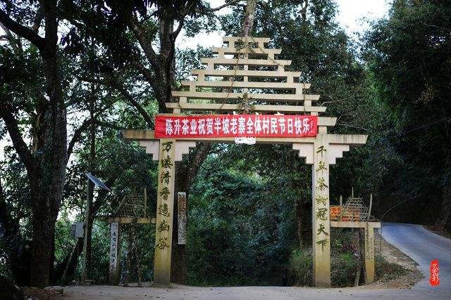 2021年南糯山半坡老寨古樹秋茶價格？