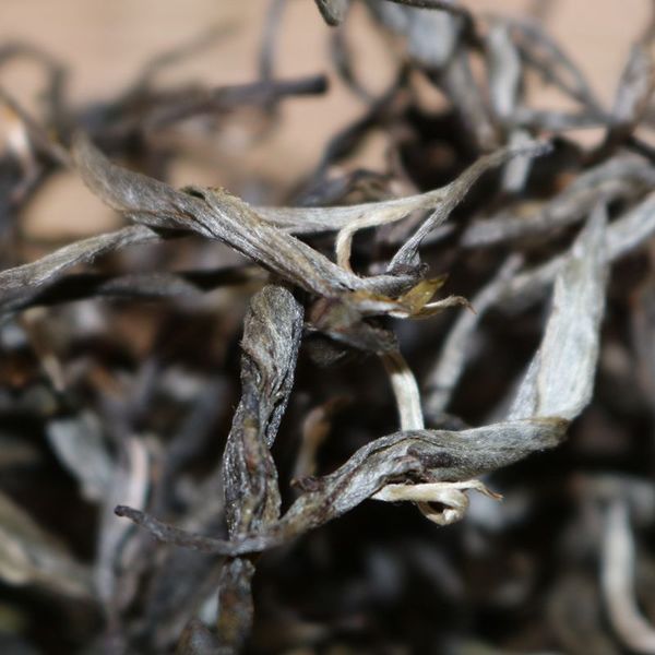 2021年帕沙古樹秋茶，你了解多少？