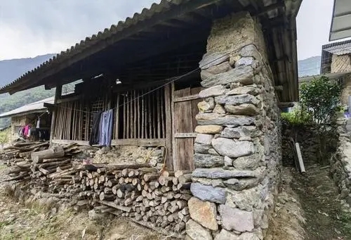 2022年景谷黃草壩古樹春茶特點(diǎn)是什么？