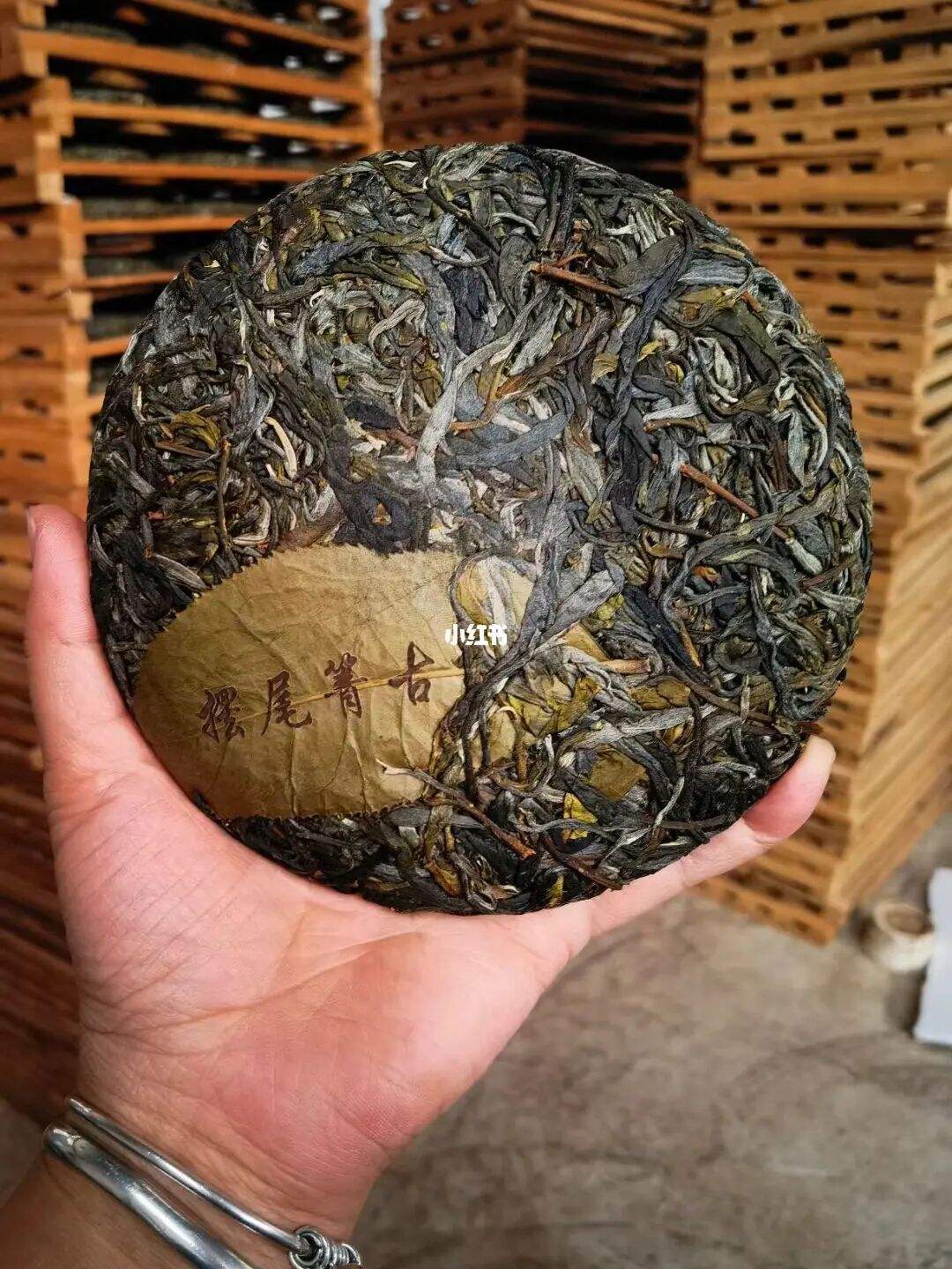 2022年寧洱 擺尾箐古樹春茶價格？