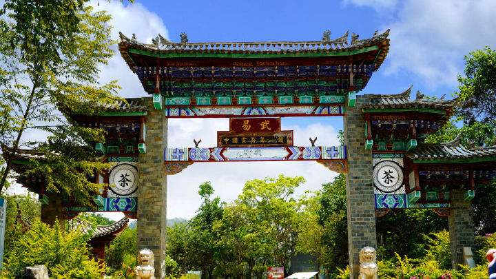 2022年易武正山在哪？易武正山是什么意思？