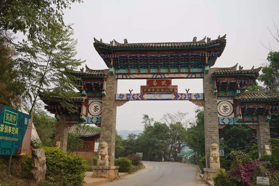 2022年易武正山古樹(shù)春茶特點(diǎn)？