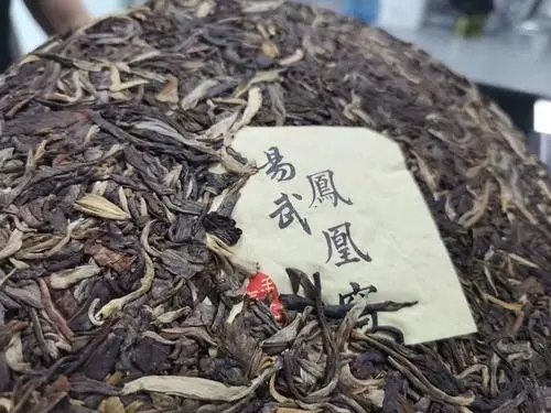 2022年鳳凰窩古樹高桿，鳳凰筑巢的地方