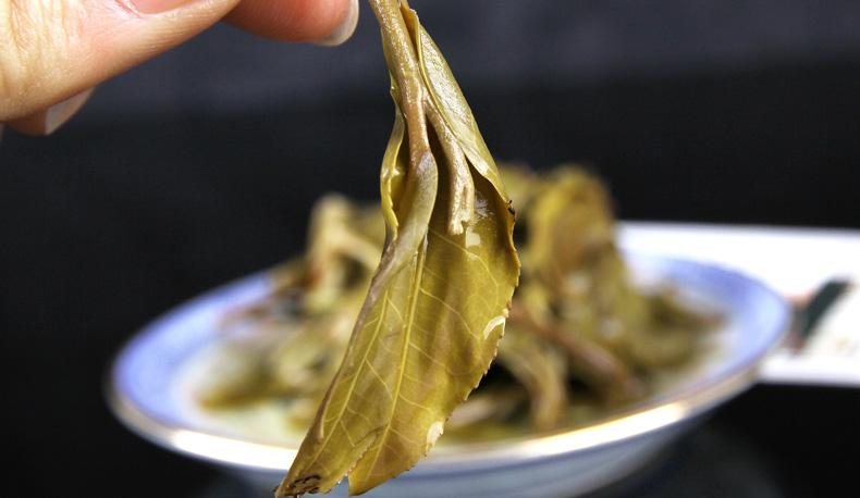 2022年冷水河古樹(shù)春茶價(jià)格？