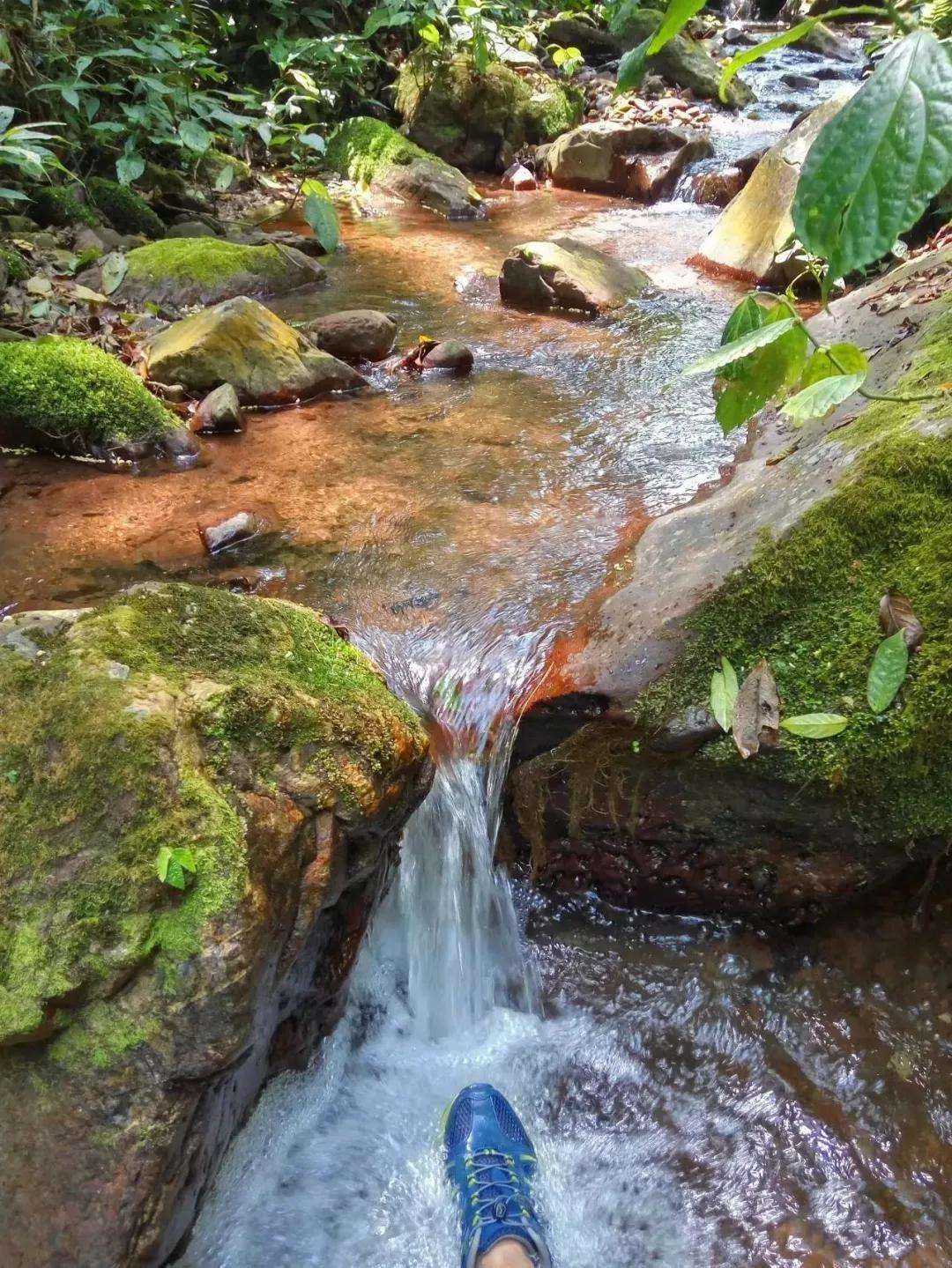 2022年銅箐河古樹(shù)春茶多少錢一公斤？