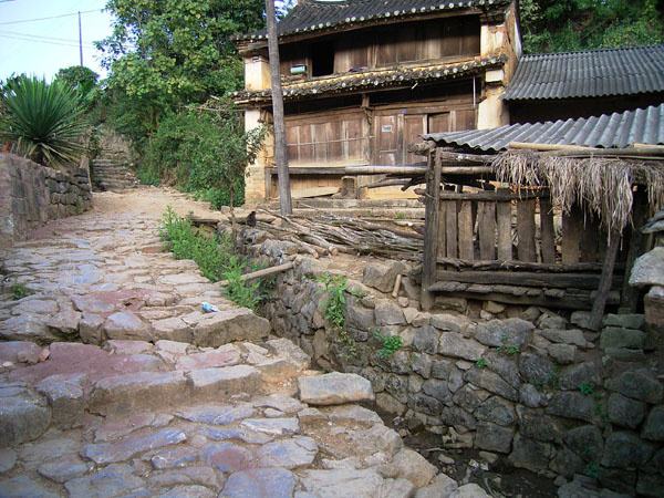 2022年蠻磚古樹春茶特點(diǎn)？