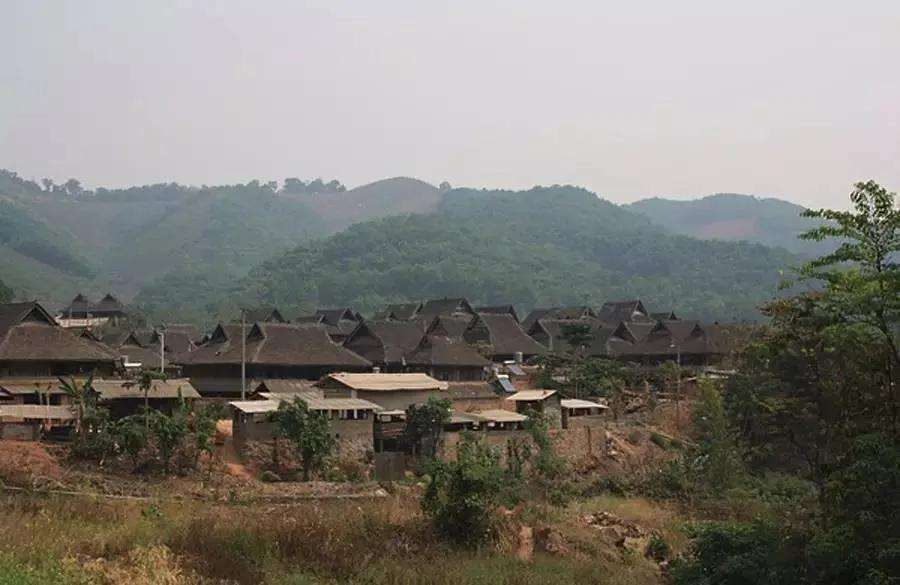 2022年革登古樹春茶特點(diǎn)？