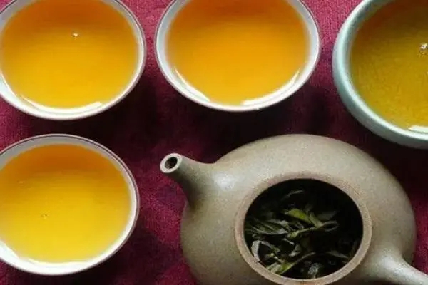 2022年普洱茶怎么泡法才正確？