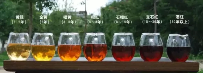 2022年普洱茶的茶湯湯色要怎么描述？