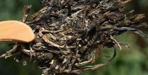 不同普洱茶生產(chǎn)地味道有哪些不同，不同派別的普洱茶味道又如何?