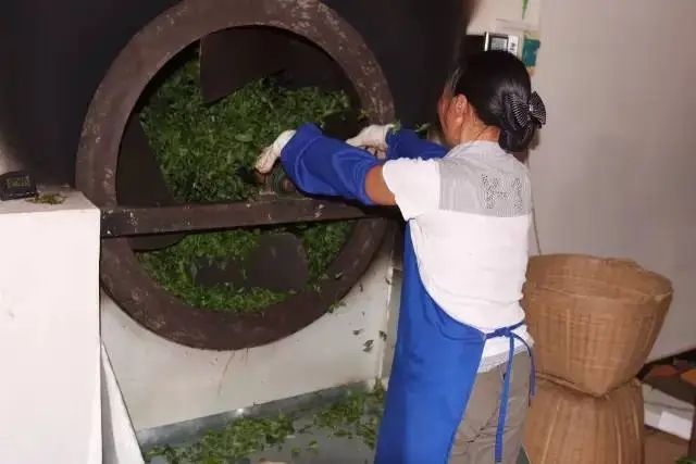 手工殺青與機(jī)器殺青的區(qū)別！