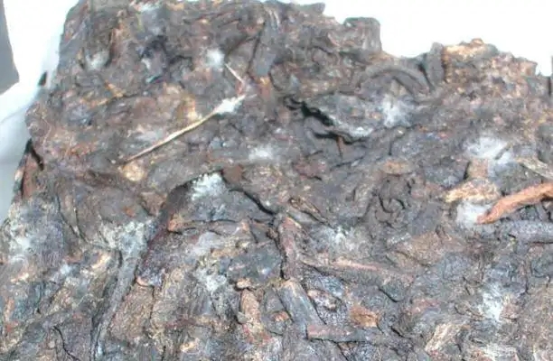 ?普洱茶發(fā)霉了怎么辦？教你妙招應(yīng)對(duì)發(fā)霉的普洱茶！