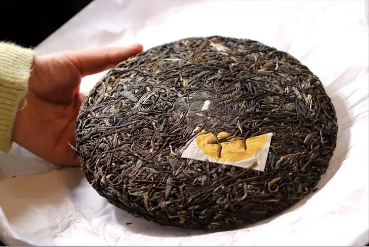 犀牛塘 | 古韻留香，帕沙之王