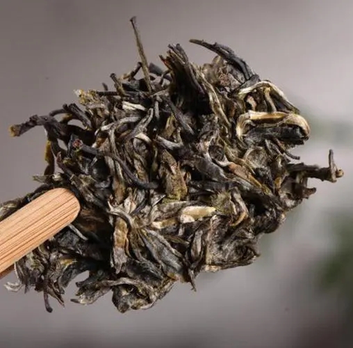 茶無貴賤！這些不知名的山頭，其實也產(chǎn)優(yōu)質(zhì)普洱茶！