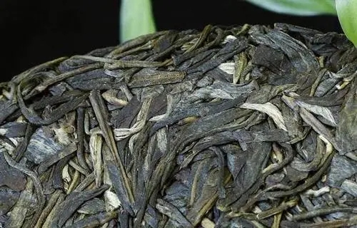 喝普洱茶，一定要喝老茶嗎？