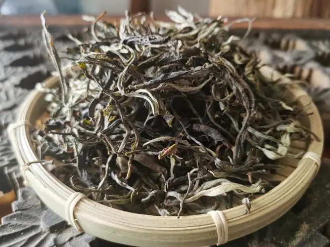淺析普洱茶現(xiàn)存審評體系的不足