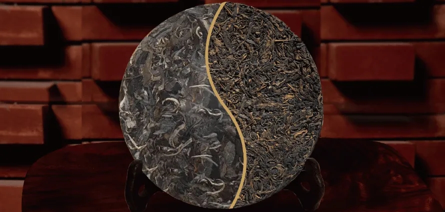 一入普門深似海？入普洱門前，你需要了解這些