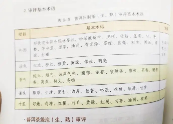 活學活用 ，一學就會的普洱茶口感術語