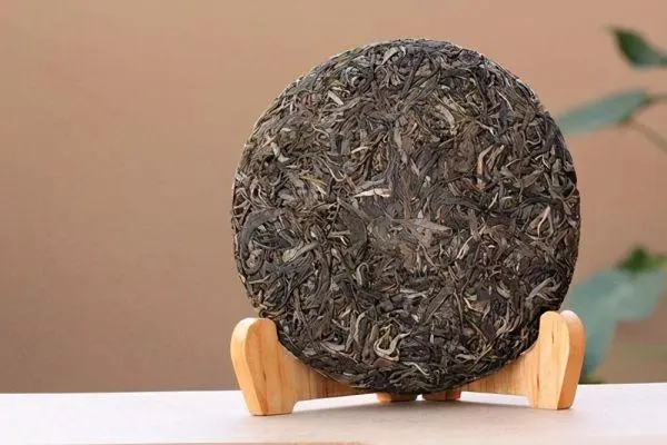 普洱茶入門首要問題，弄清楚，才能喝好茶