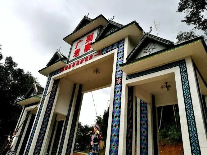 2023年廣別老寨古樹春茶品質(zhì)如何？