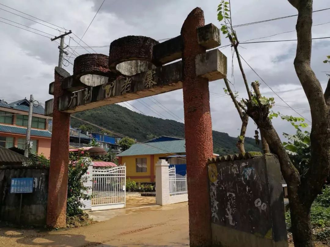 2023年廣別老寨古樹春茶價格多少？