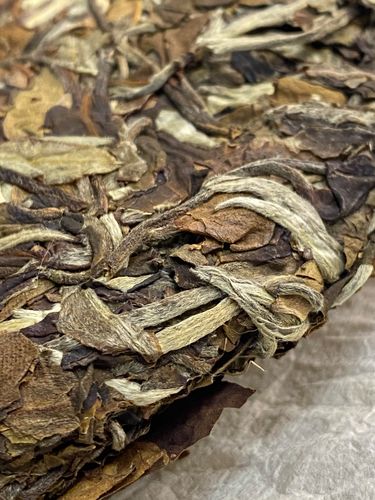 2023年拔瑪老寨古樹春茶特點是什么？