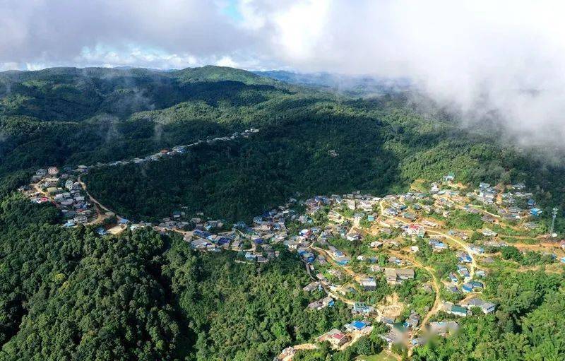 2023年帕沙古樹春茶口感怎么樣？