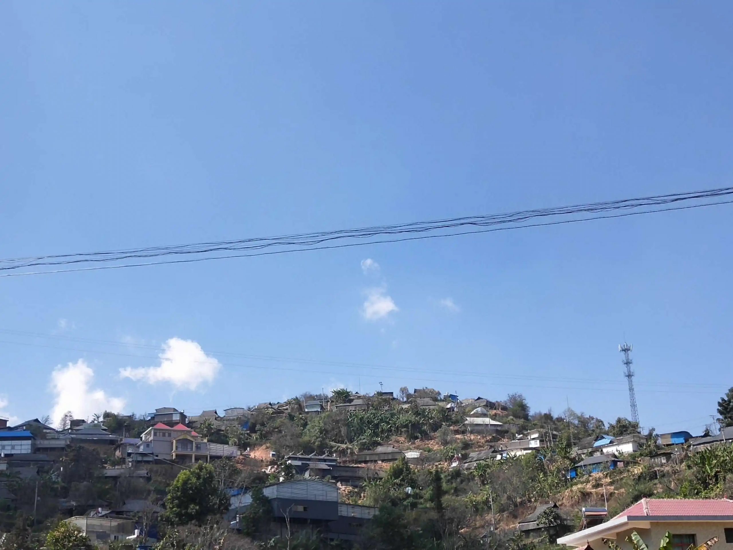 2023帕沙古樹春茶特點是什么？