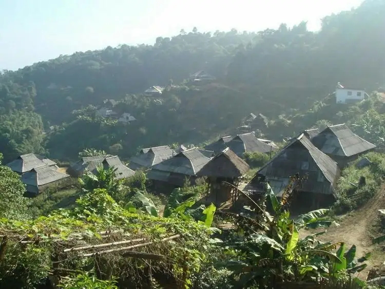 2023年帕沙古樹春茶多少一公斤？