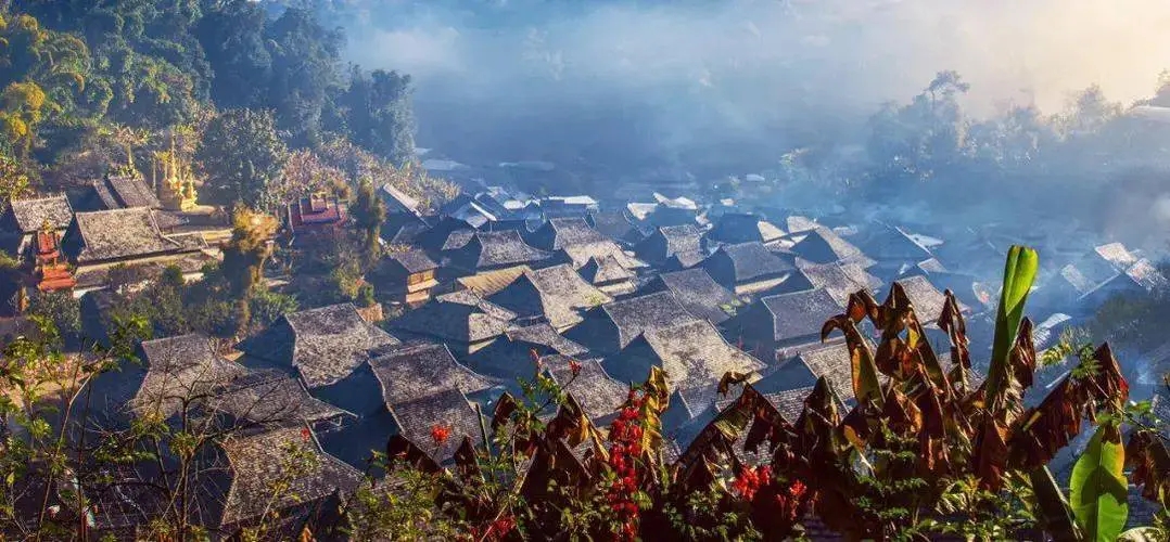 2023年景邁古樹春茶品質(zhì)如何？