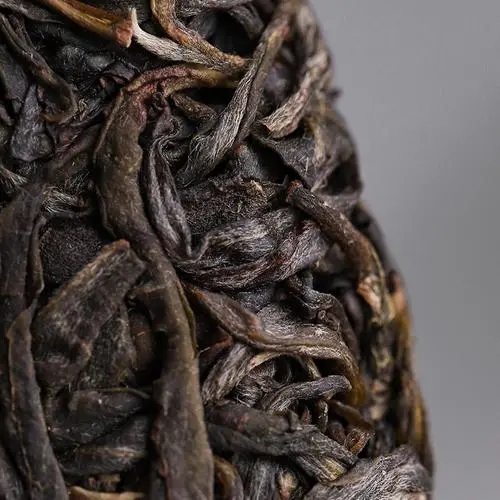 2023年迷帝古樹春茶價格是多少？