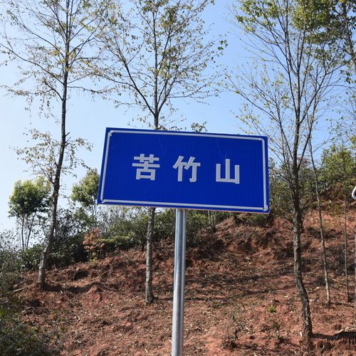 2023年苦竹山古樹春茶品質如何？