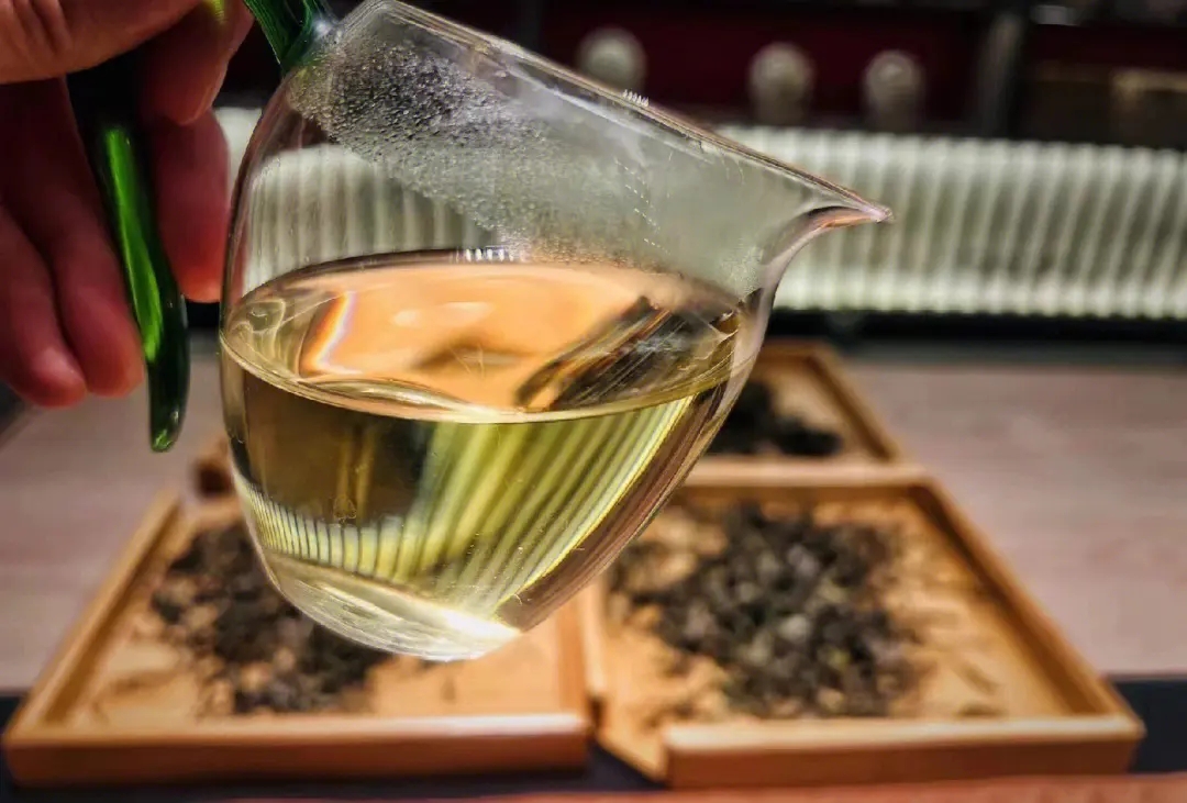 2023年鳳凰窩古樹春茶價(jià)格是多少？