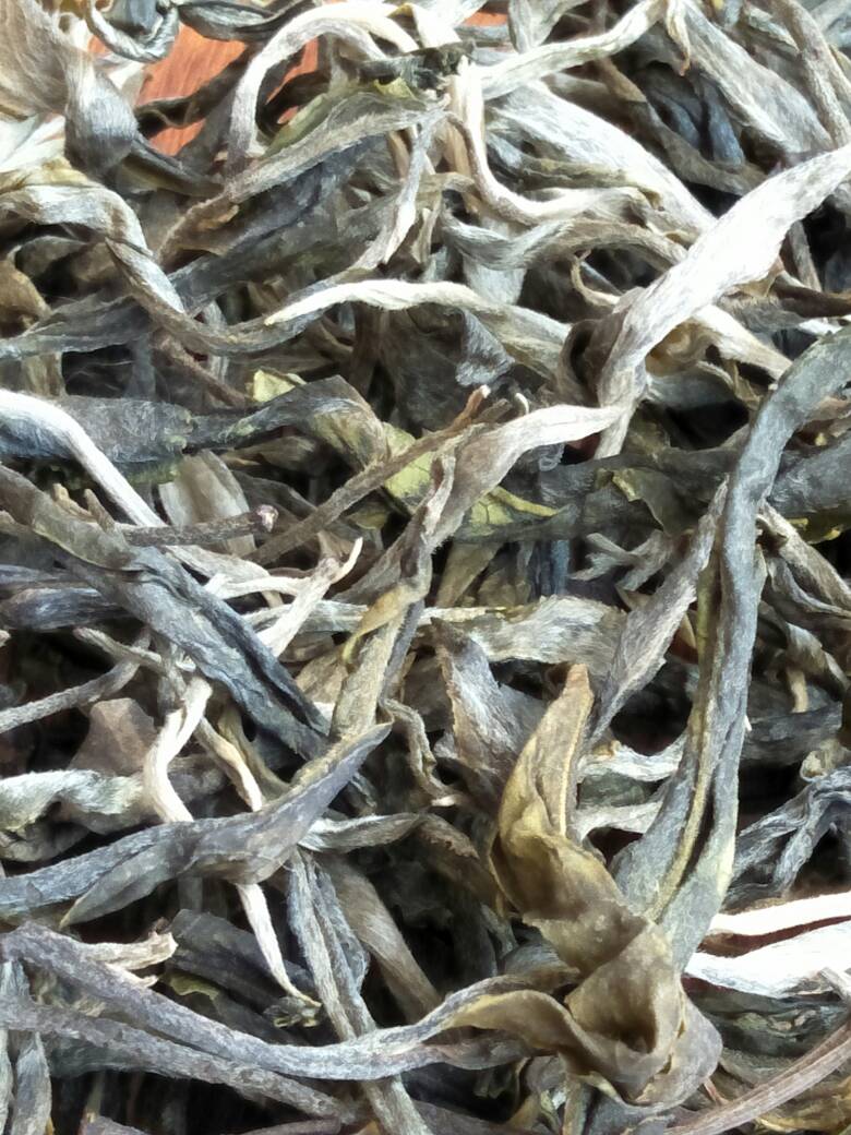 2023年壩歪古樹春茶價格是多少？